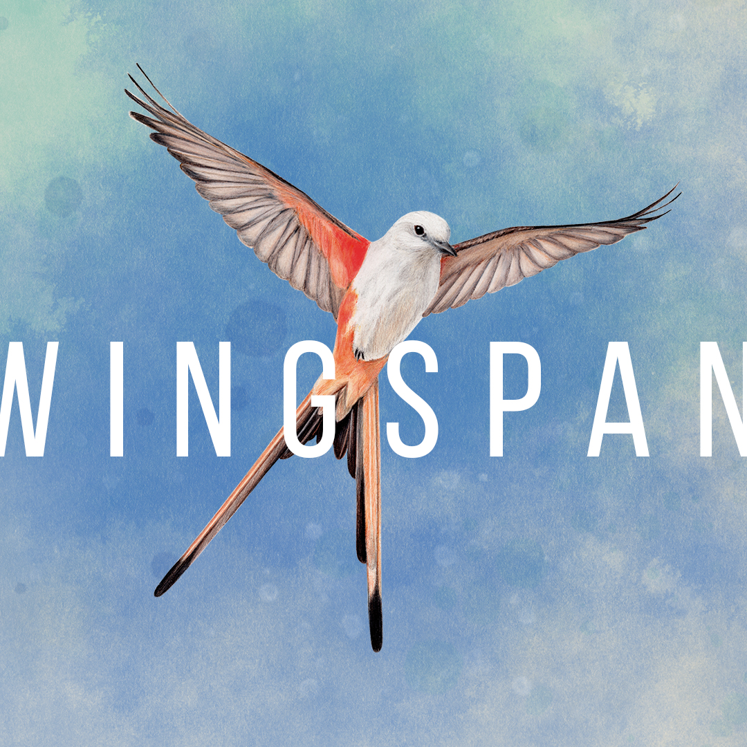 Reading Rulebooks Episode Two – Wingspan